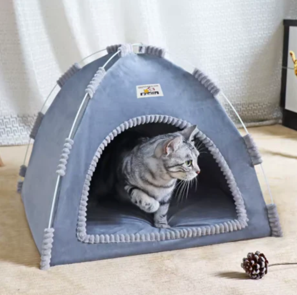 Kitty Campout Tent